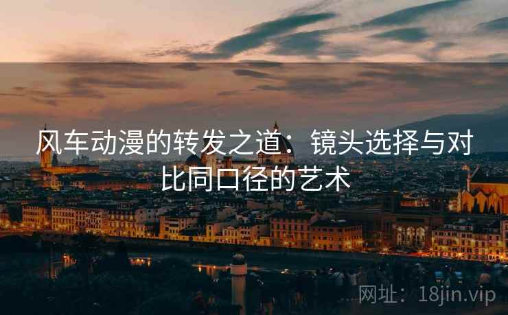 风车动漫的转发之道：镜头选择与对比同口径的艺术