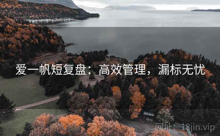 爱一帆短复盘：高效管理，漏标无忧  第2张